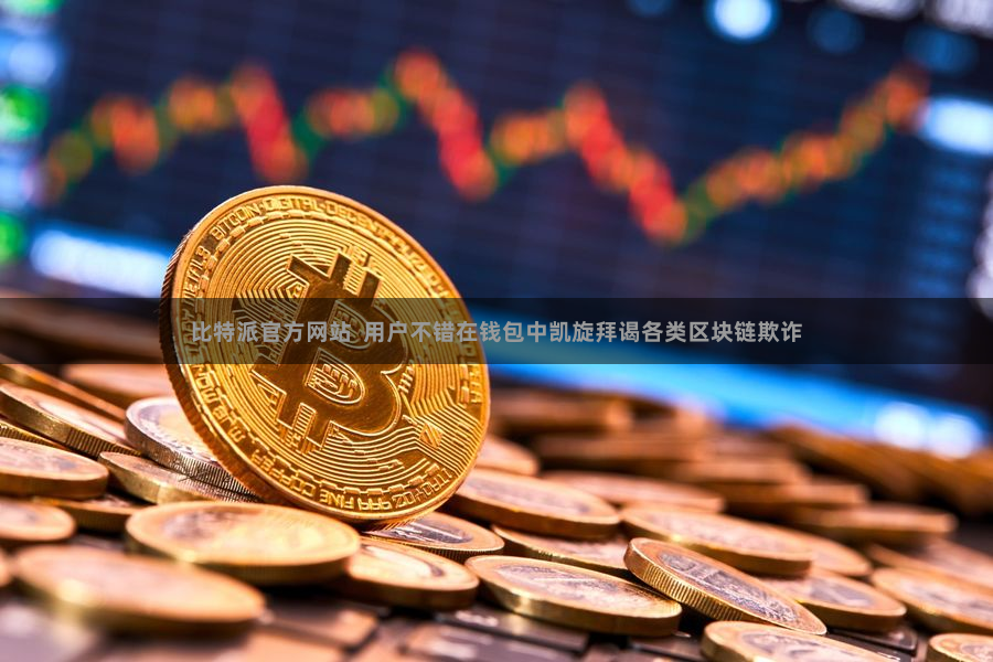 比特派官方网站  用户不错在钱包中凯旋拜谒各类区块链欺诈